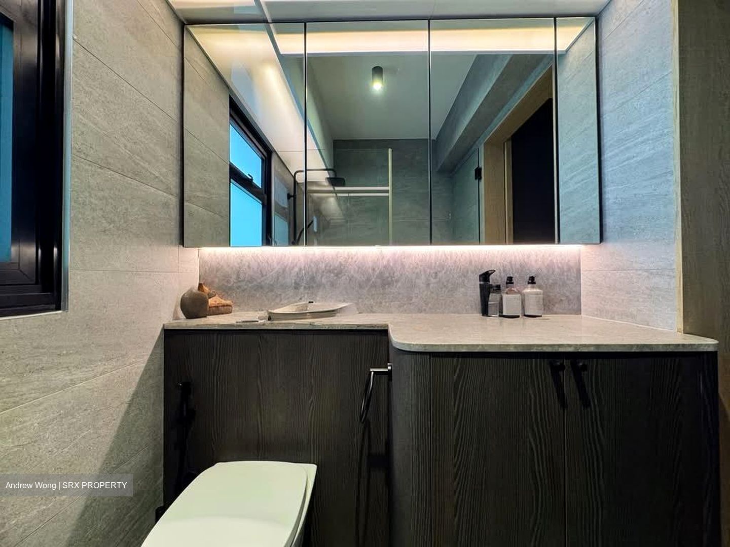 Blk 109B Alkaff Oasis (Toa Payoh), HDB 4 Rooms #589160271